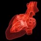 让人工智能预测心脏病发作